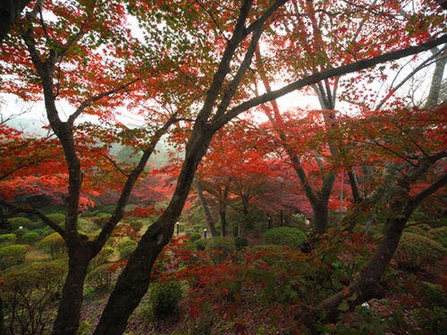 秋：客室棟からの眺め一例