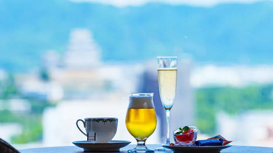 Hotel Nikko Himeji