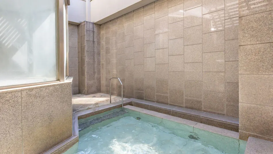 Hotel MyStays Premier Sapporo Park