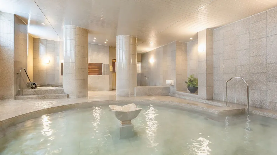 Hotel MyStays Premier Sapporo Park