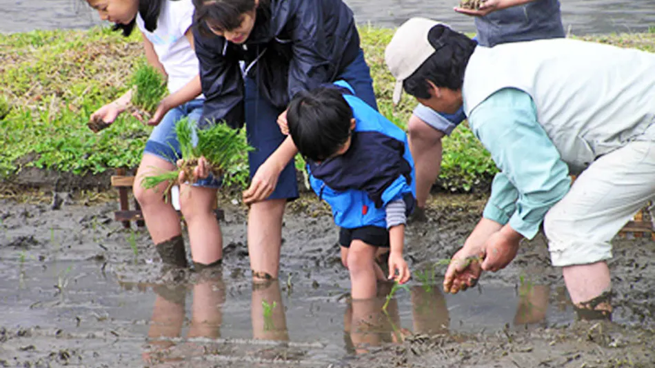NASPA New Otani