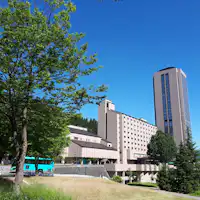 夏季外观