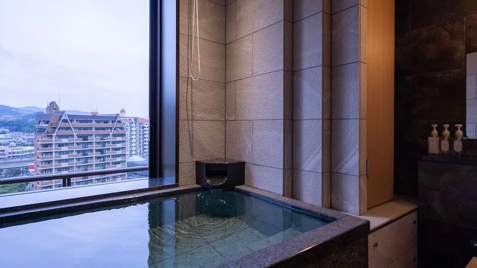 Hotel Wakamizu