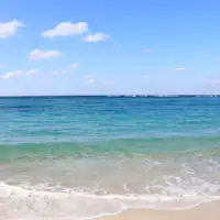 【周辺観光 丨 白良浜】