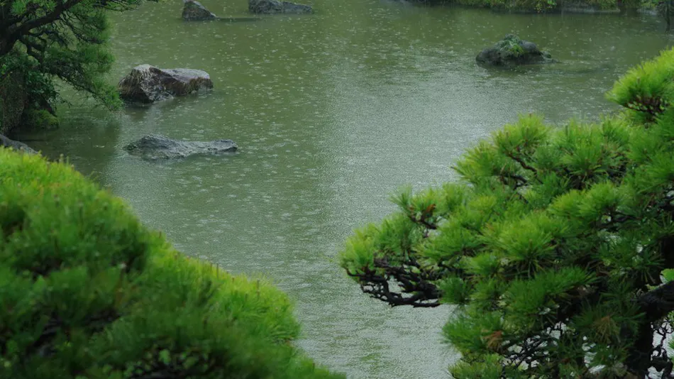 Ryokan Ohana