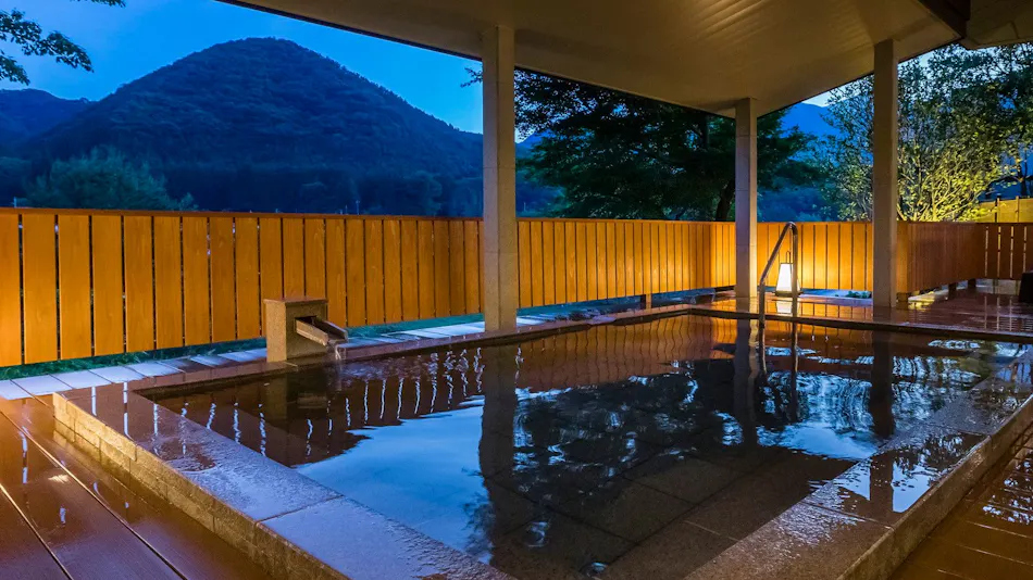 Kinugawa Onsen Ryokan Wakatake no Sho