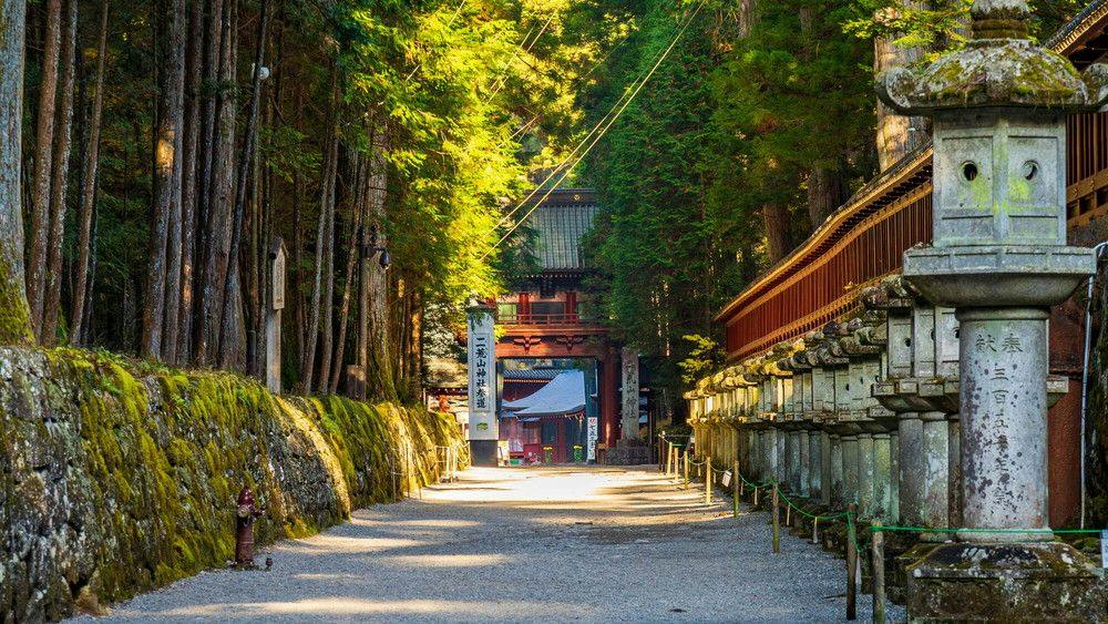 【1泊朝食付き】＜個室食＞ご到着21時までOK！温泉と和朝食を気軽に愉しむ〇ビジネス一人旅も
