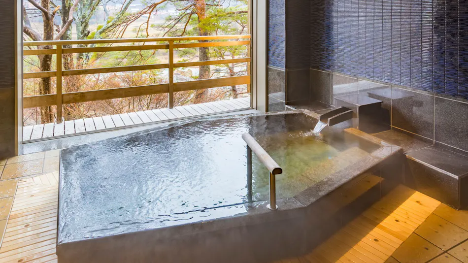 Kinugawa Onsen Ryokan Wakatake no Sho
