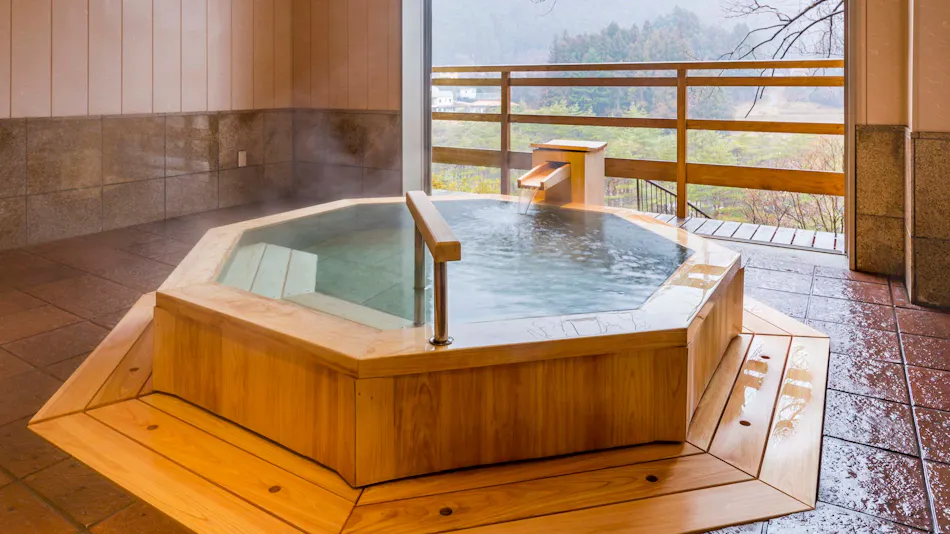 Kinugawa Onsen Ryokan Wakatake no Sho