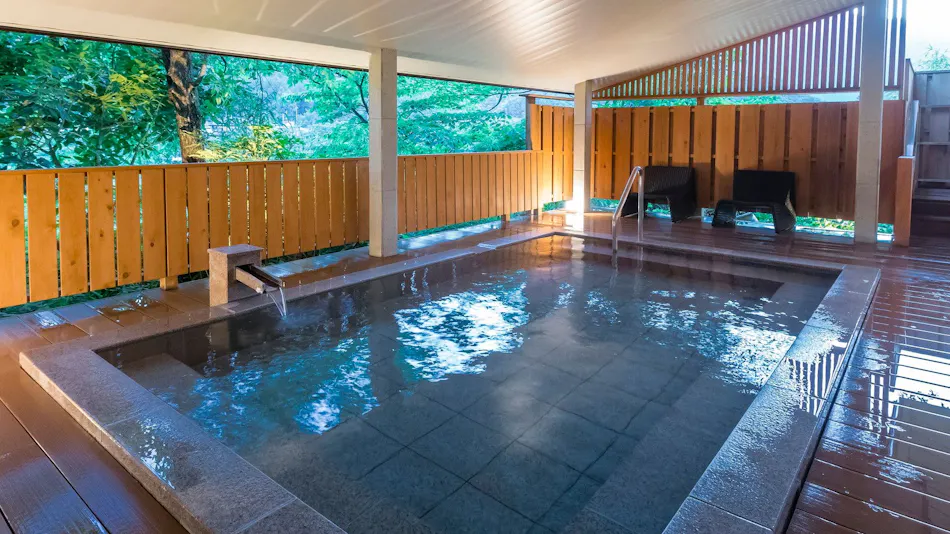 Kinugawa Onsen Ryokan Wakatake no Sho