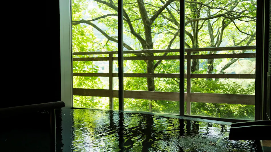 Kinugawa Onsen Ryokan Wakatake no Sho