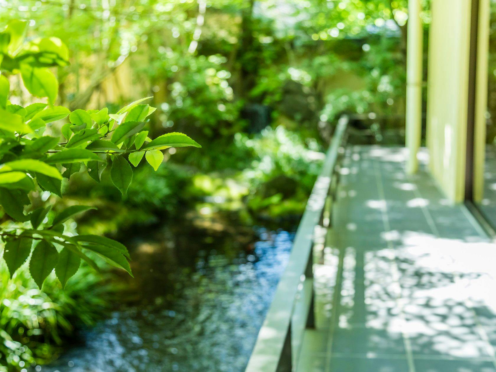 鬼怒川温泉　旅館　若竹の庄