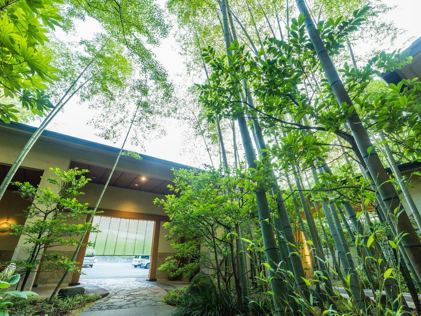 鬼怒川温泉　旅館　若竹の庄