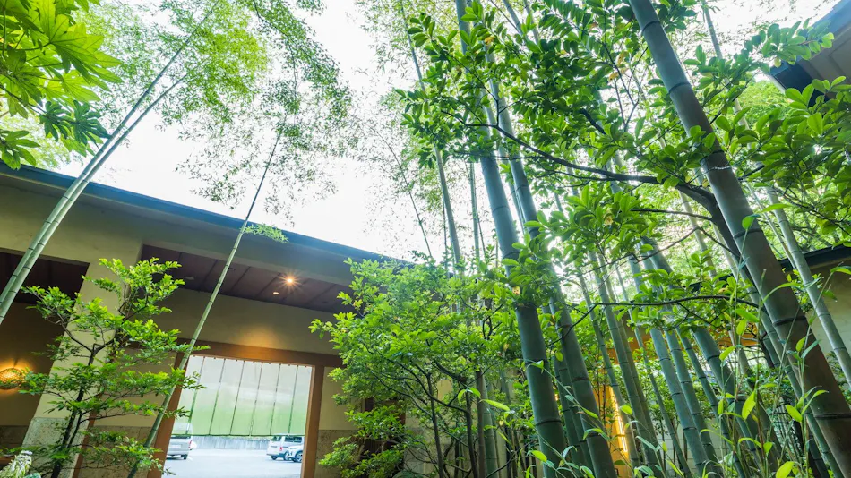 Kinugawa Onsen Ryokan Wakatake no Sho