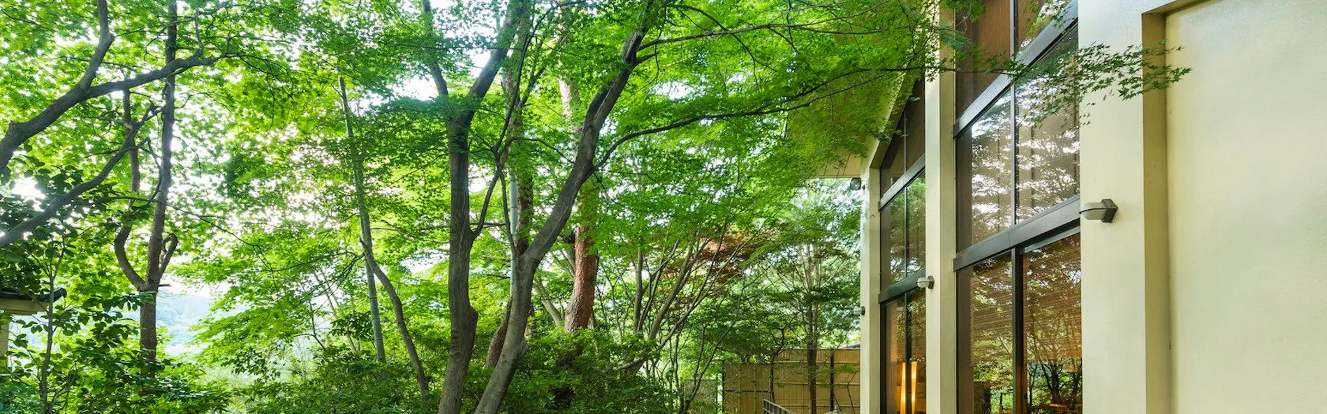 鬼怒川温泉 旅館 若竹の庄