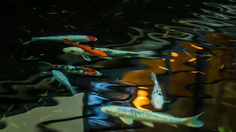 Kinugawa Onsen Ryokan Wakatake no Sho