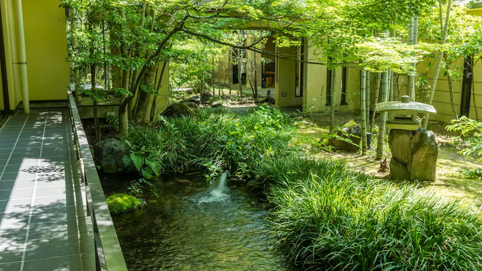 Kinugawa Onsen Ryokan Wakatake no Sho