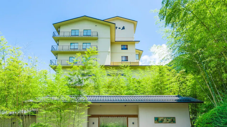 Kinugawa Onsen Ryokan Wakatake no Sho