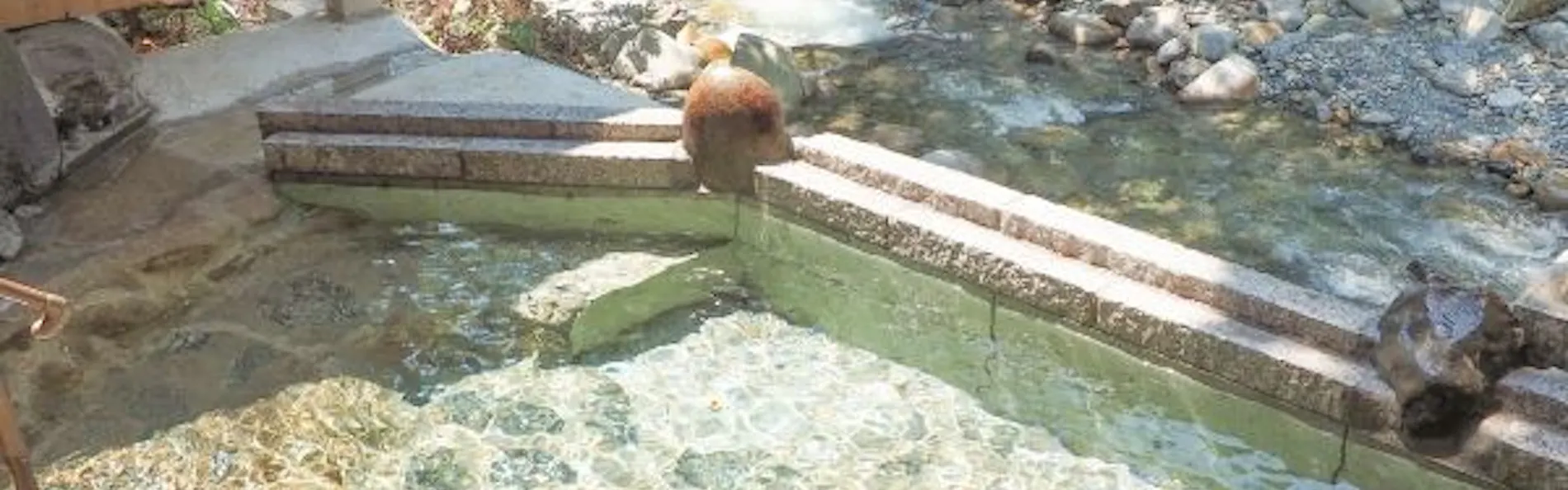 金盛館 せせらぎ