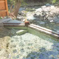 谷川の清流に面した混浴露天風呂