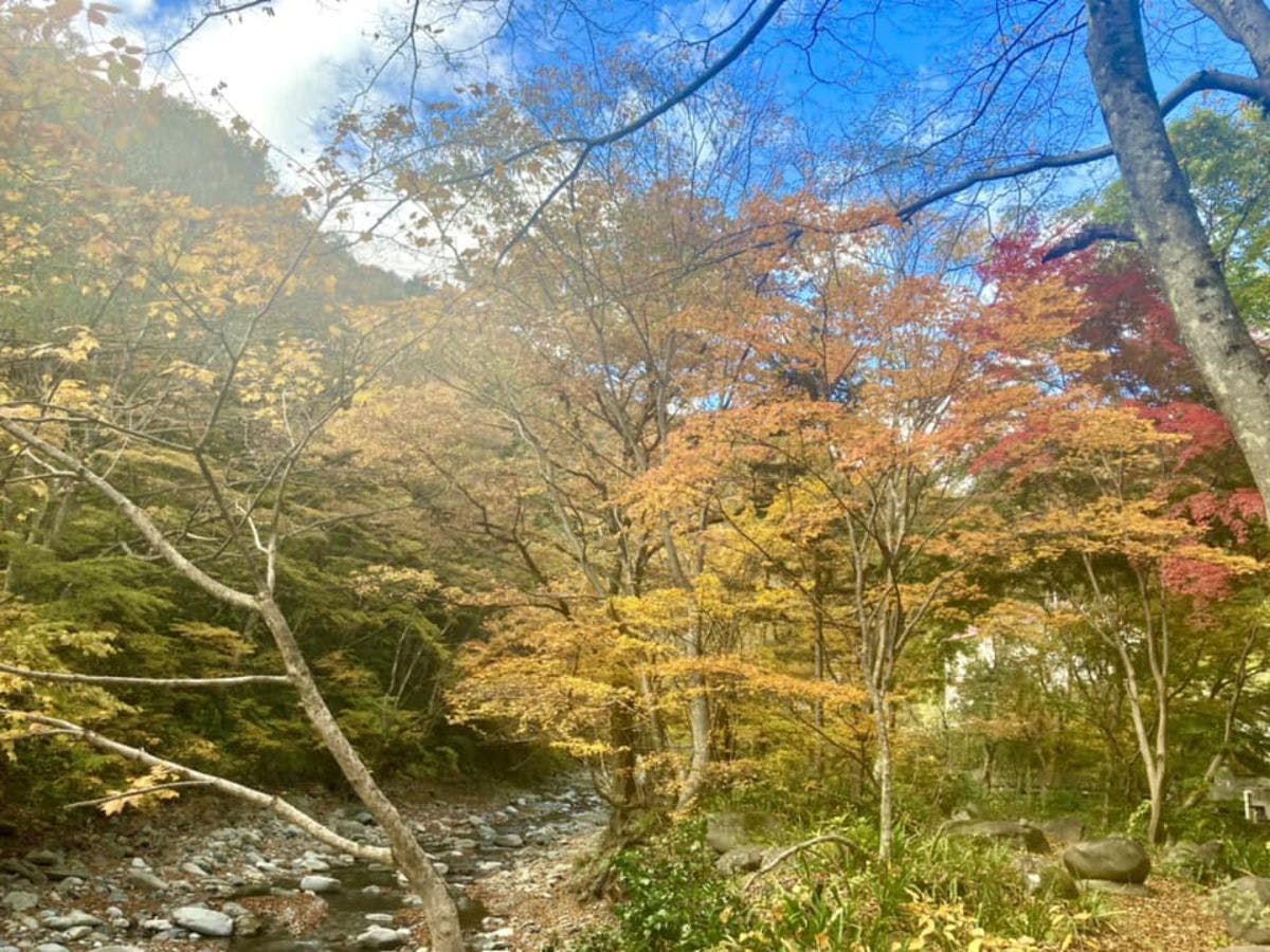 金盛館　せせらぎ