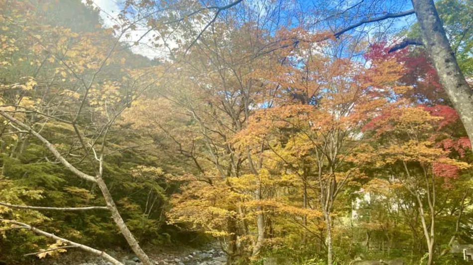 Kinseikan Seseragi