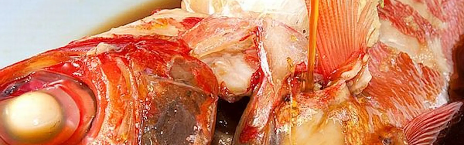 伊豆高原 離れ御宿 夢のや