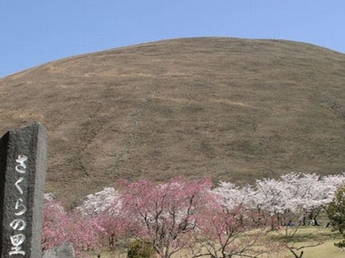 การพบปะซากุระที่งดงาม ฤดูใบไม้ผลิของหมู่บ้าน