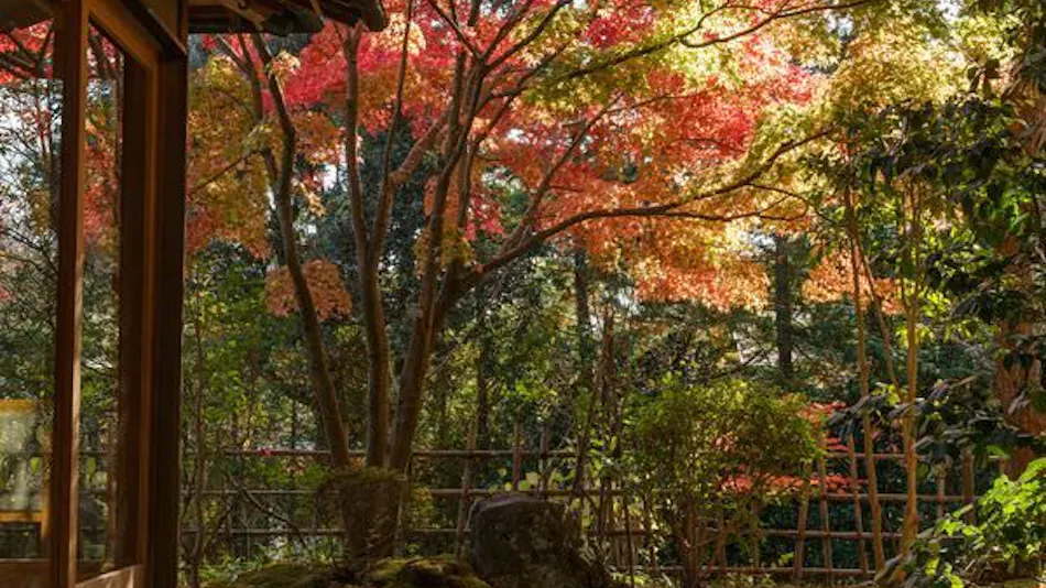 Shaga no Sato Yume-ya