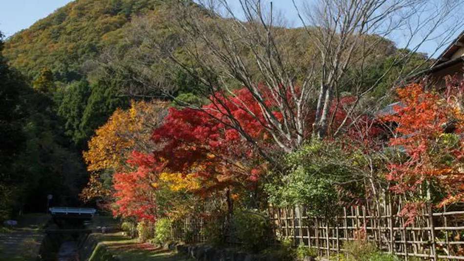 Shaga no Sato Yume-ya