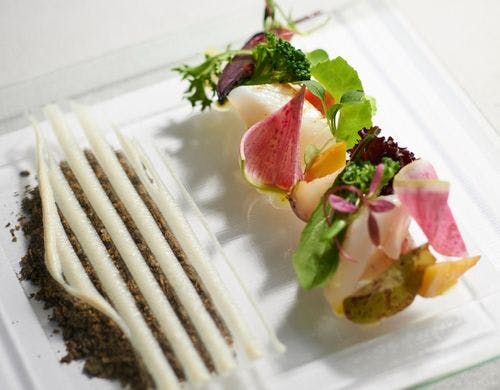 柴山西洋野菜園の野菜