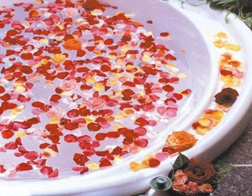 京都に本店を持つロイヤルボディコンシャス