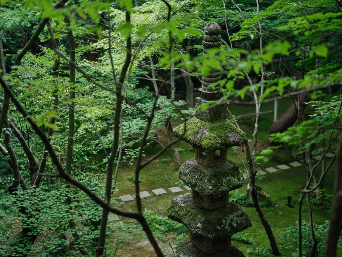 べにや無何有