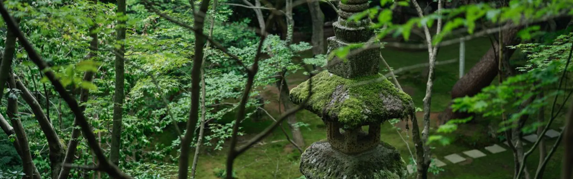 べにや無何有