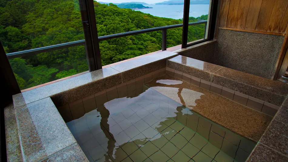 Inn of the Heart Bashinsui