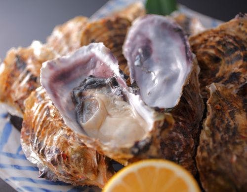 地元浦村産牡蠣　時期（１２月から３月）