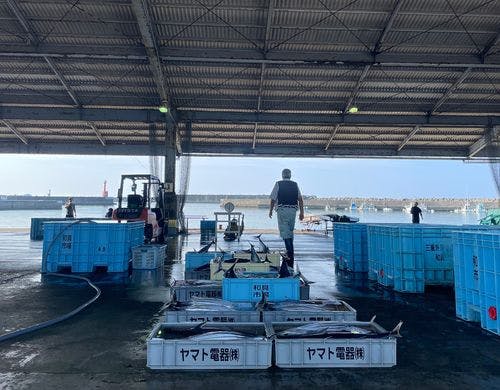 社長が魚屋！各漁港から直送