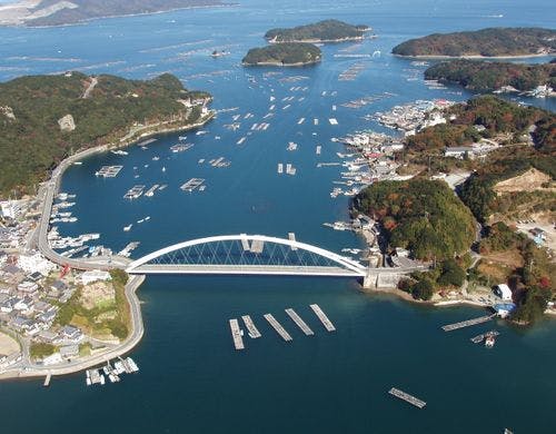 地元浦村は牡蠣養殖が盛ん！