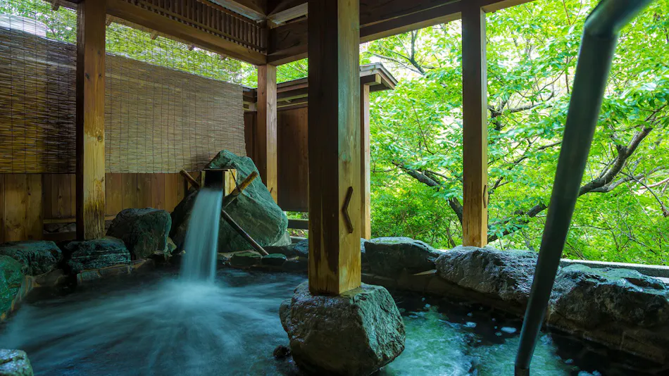 Inn of the Heart Bashinsui