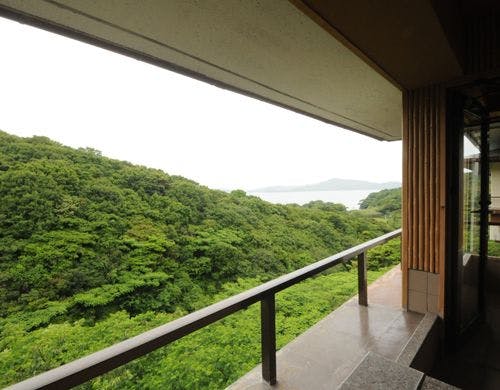 部屋の眺め（星のはな）