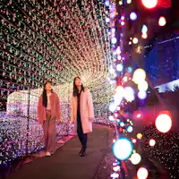 ฤดูหนาวที่อิซุคือแกรนด์อิลลูมิ