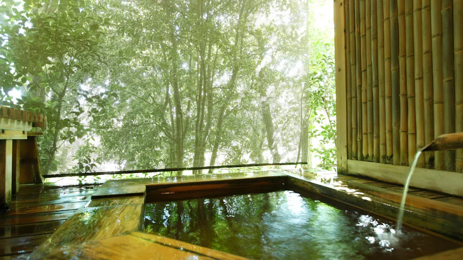 Mori no Yu Kiranosato (Kyoritsu Resort)