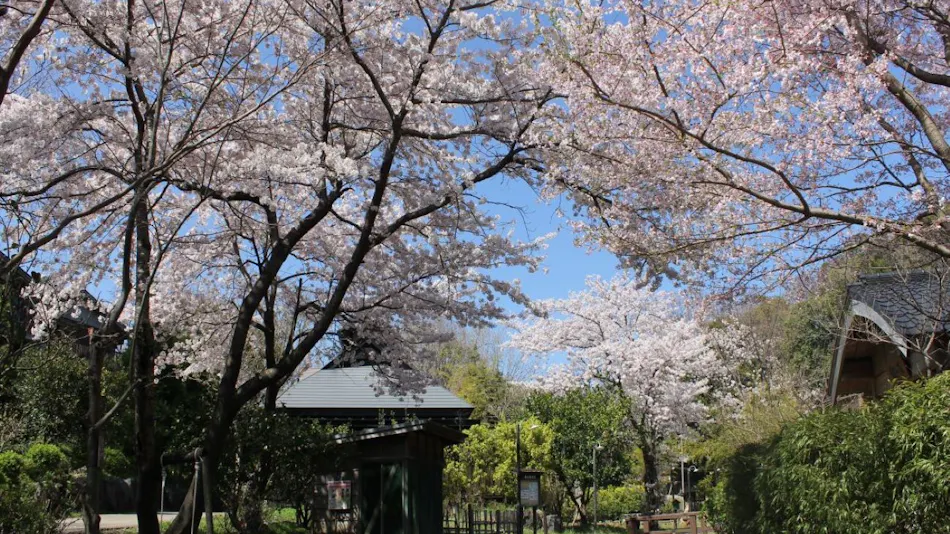 Mori no Yu Kiranosato (Kyoritsu Resort)