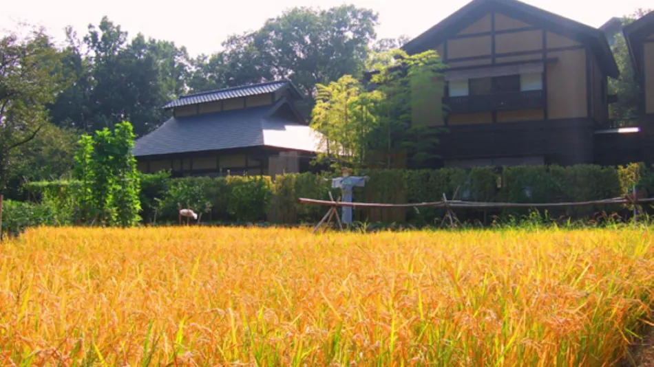 Mori no Yu Kiranosato (Kyoritsu Resort)