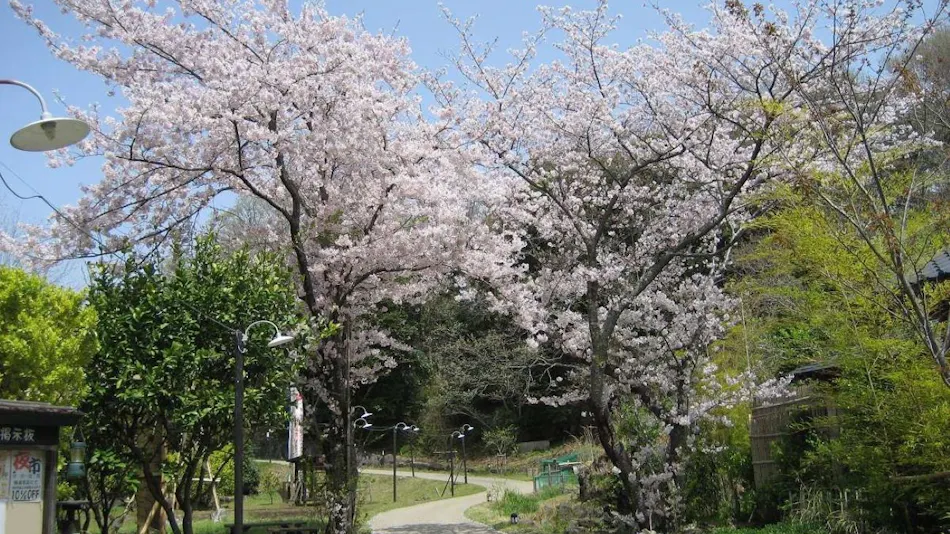 Mori no Yu Kiranosato (Kyoritsu Resort)