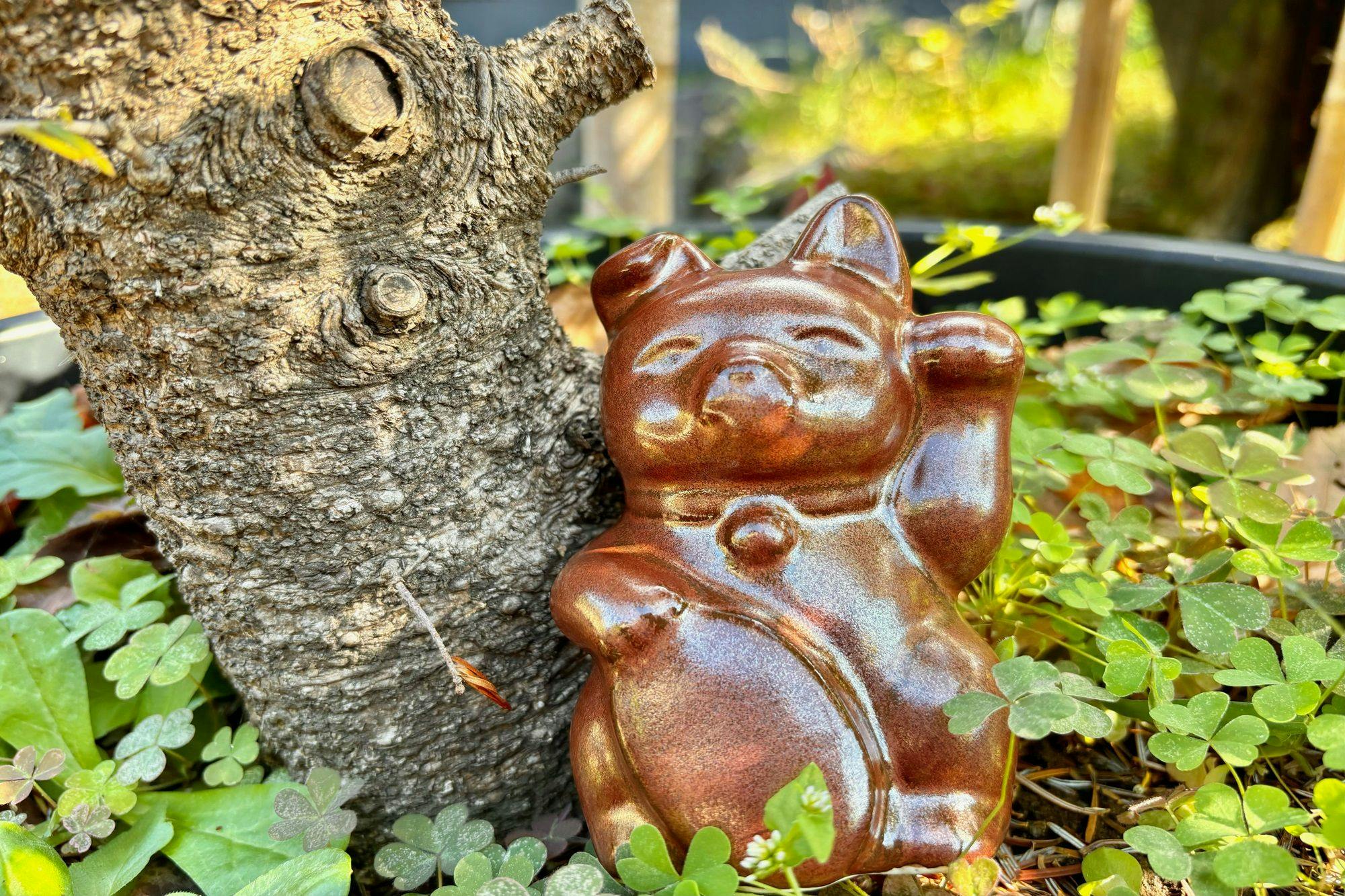 【กิจกรรม】ค้นหาแมวกวัก