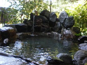 鳥遊ぶ森の宿　ふたり静