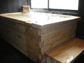 鳥遊ぶ森の宿　ふたり静
