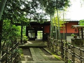 鳥遊ぶ森の宿 ふたり静