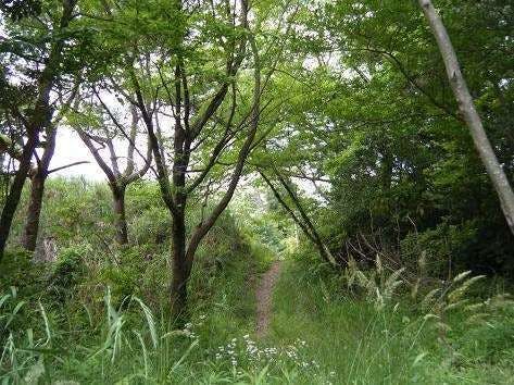 ทัศนียภาพ